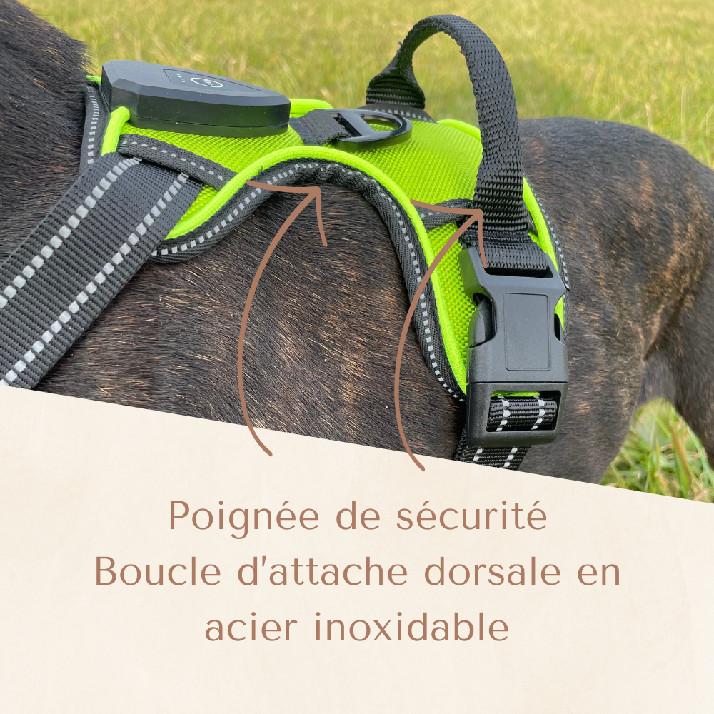 Harnais lumineux LED