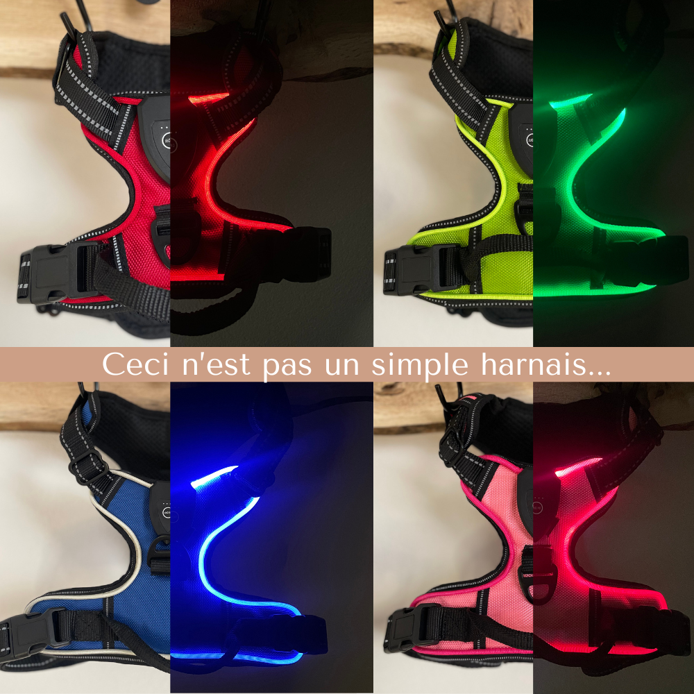 Harnais lumineux LED