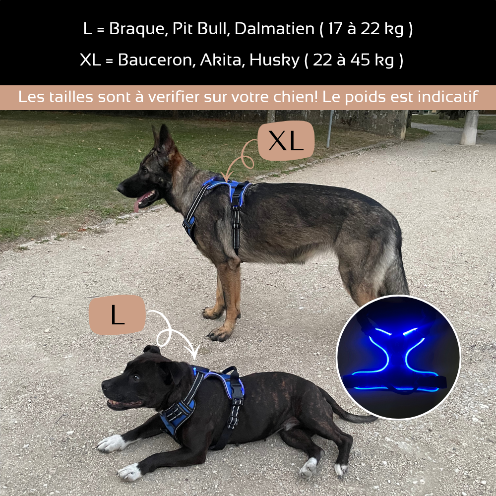 Harnais de sécurité LED visible à 300M