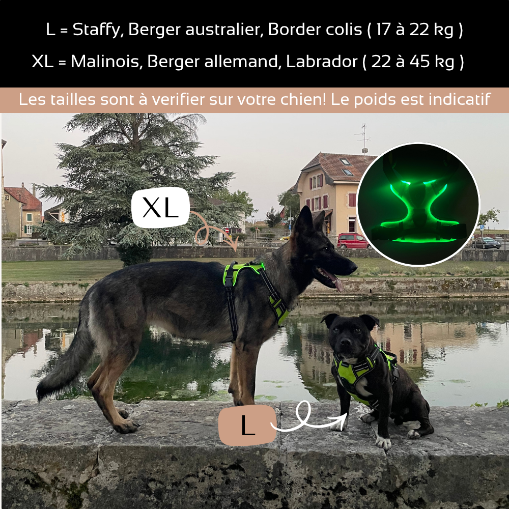 Harnais de sécurité LED visible à 300M