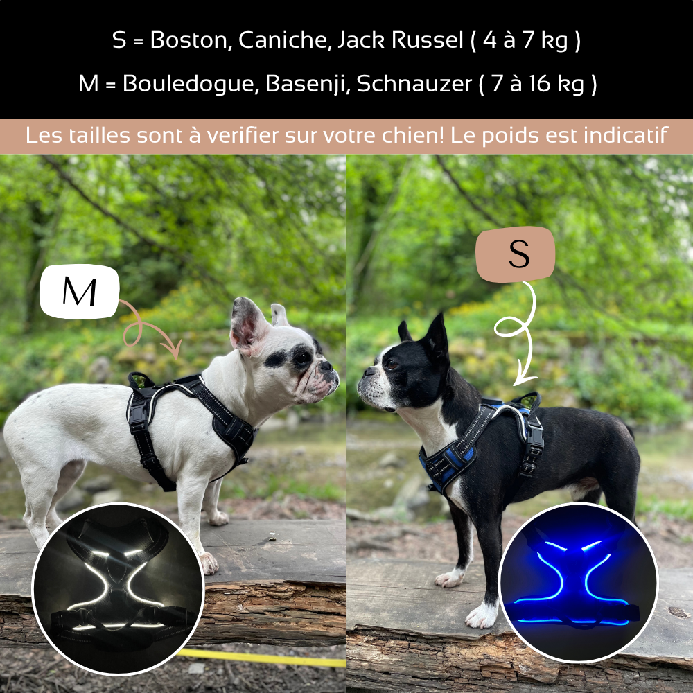 Harnais de sécurité LED visible à 300M