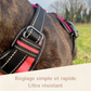 Harnais lumineux LED