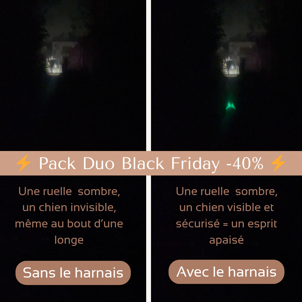 Harnais de sécurité LED visible à 300M