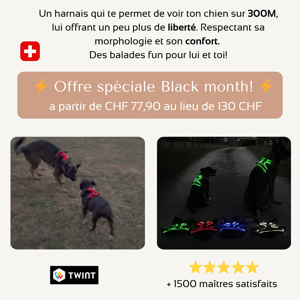 Harnais de sécurité LED visible à 300M