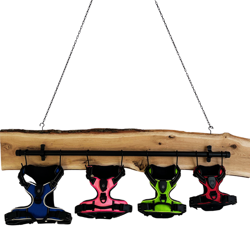 Harnais lumineux LED