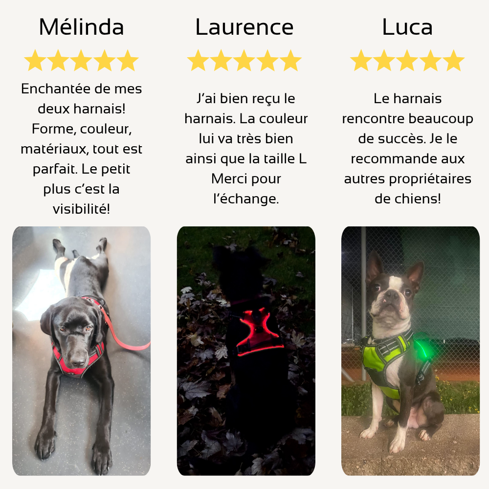 Harnais de sécurité LED visible à 300M