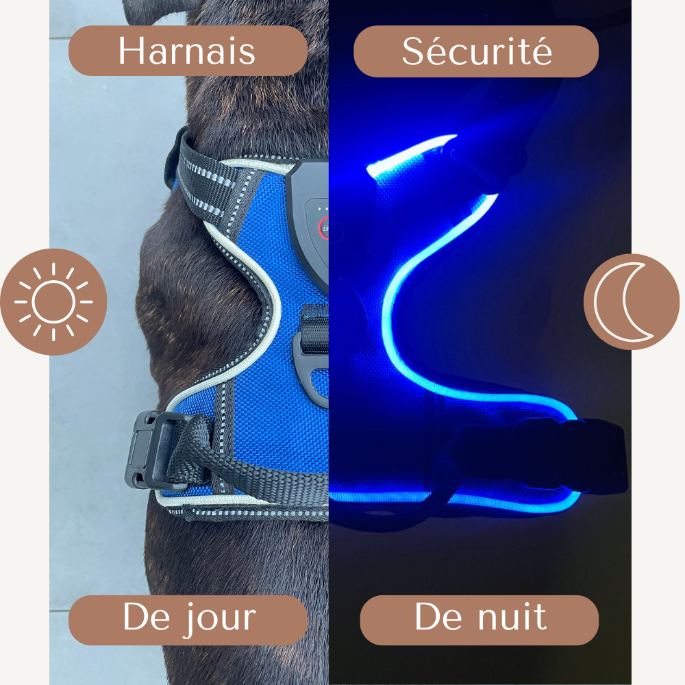 Harnais de sécurité LED visible à 300M