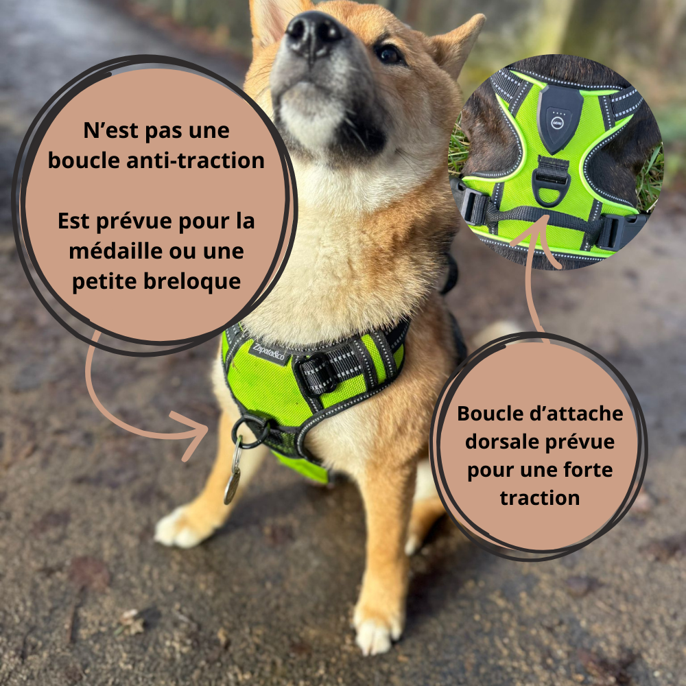 Harnais de sécurité LED visible à 300M