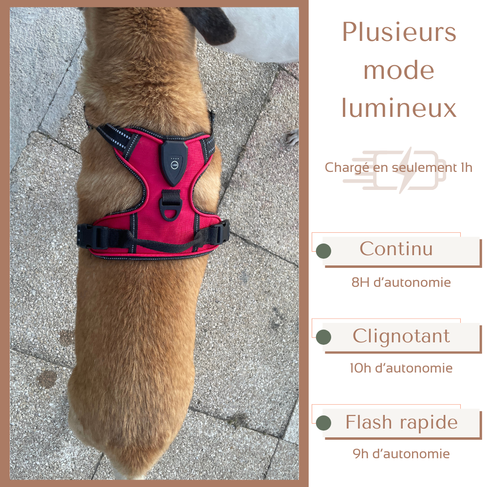 Harnais de sécurité LED visible à 300M