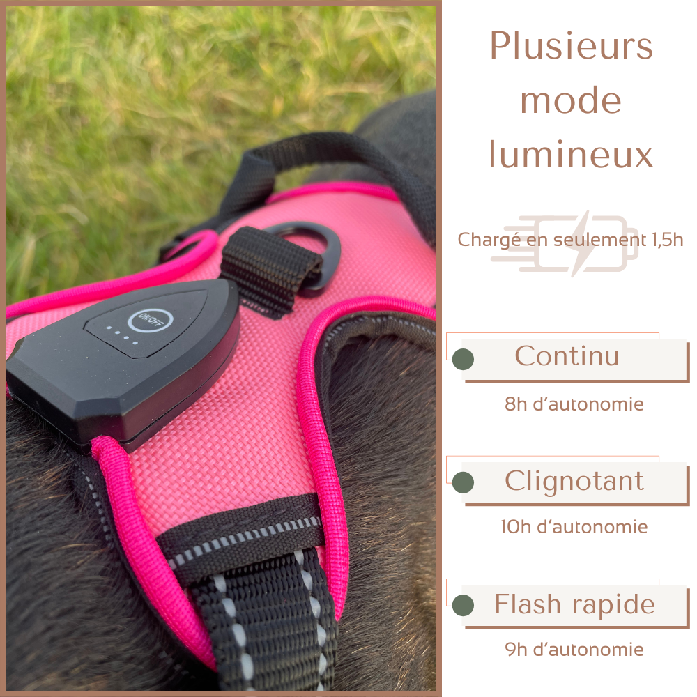 Harnais lumineux LED