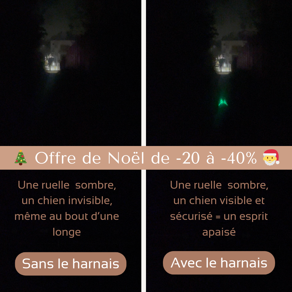 Harnais de sécurité LED visible à 300M