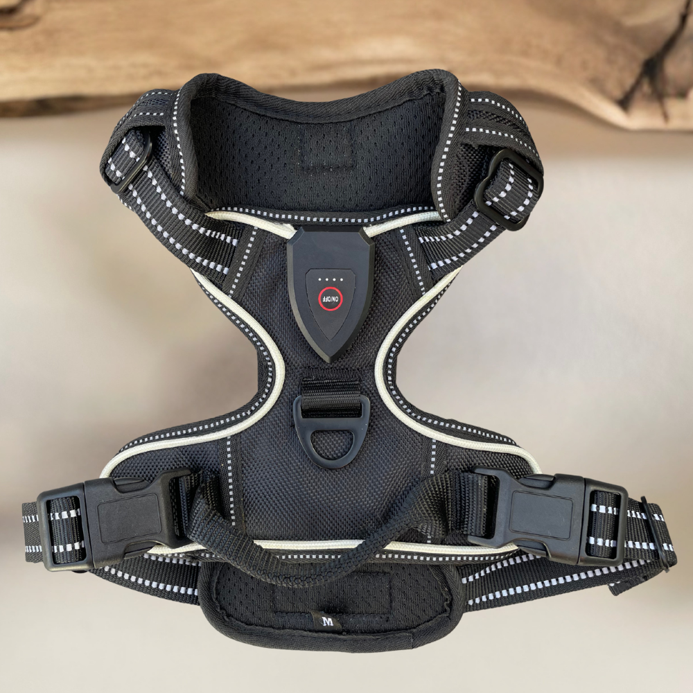 Harnais de sécurité LED visible à 300M