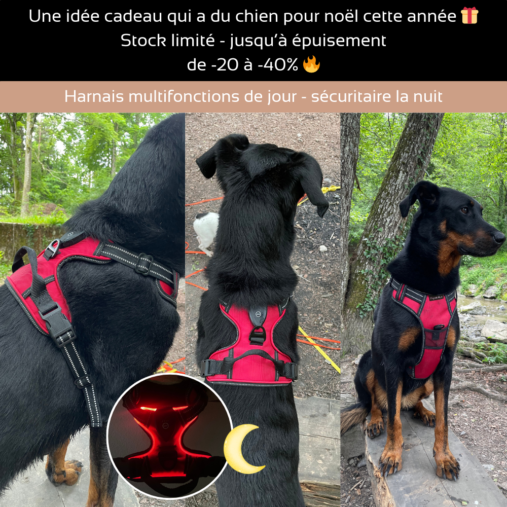 Harnais de sécurité LED visible à 300M