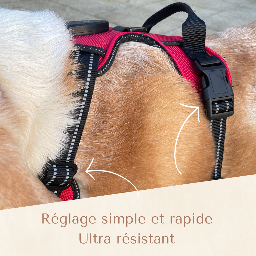 Harnais de sécurité LED visible à 300M