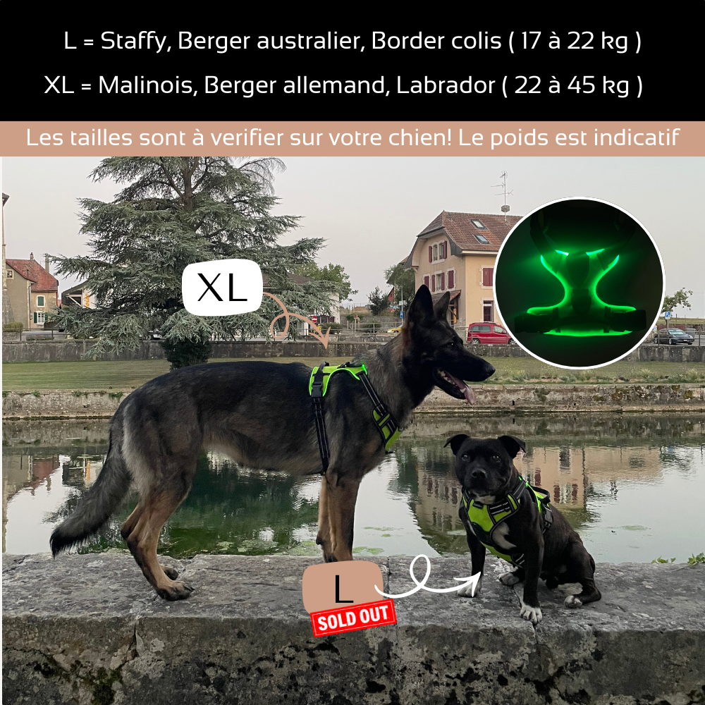 Harnais de sécurité LED visible à 300M