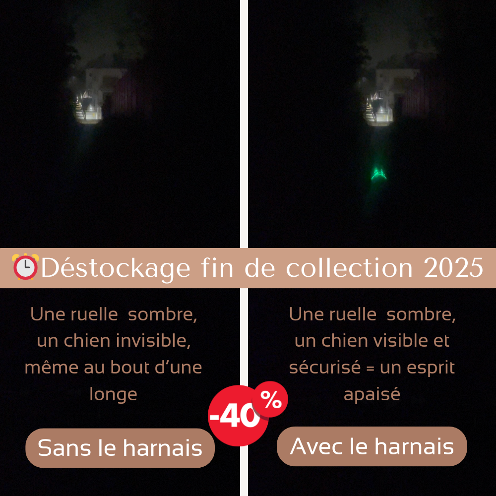 Harnais de sécurité LED visible à 300M