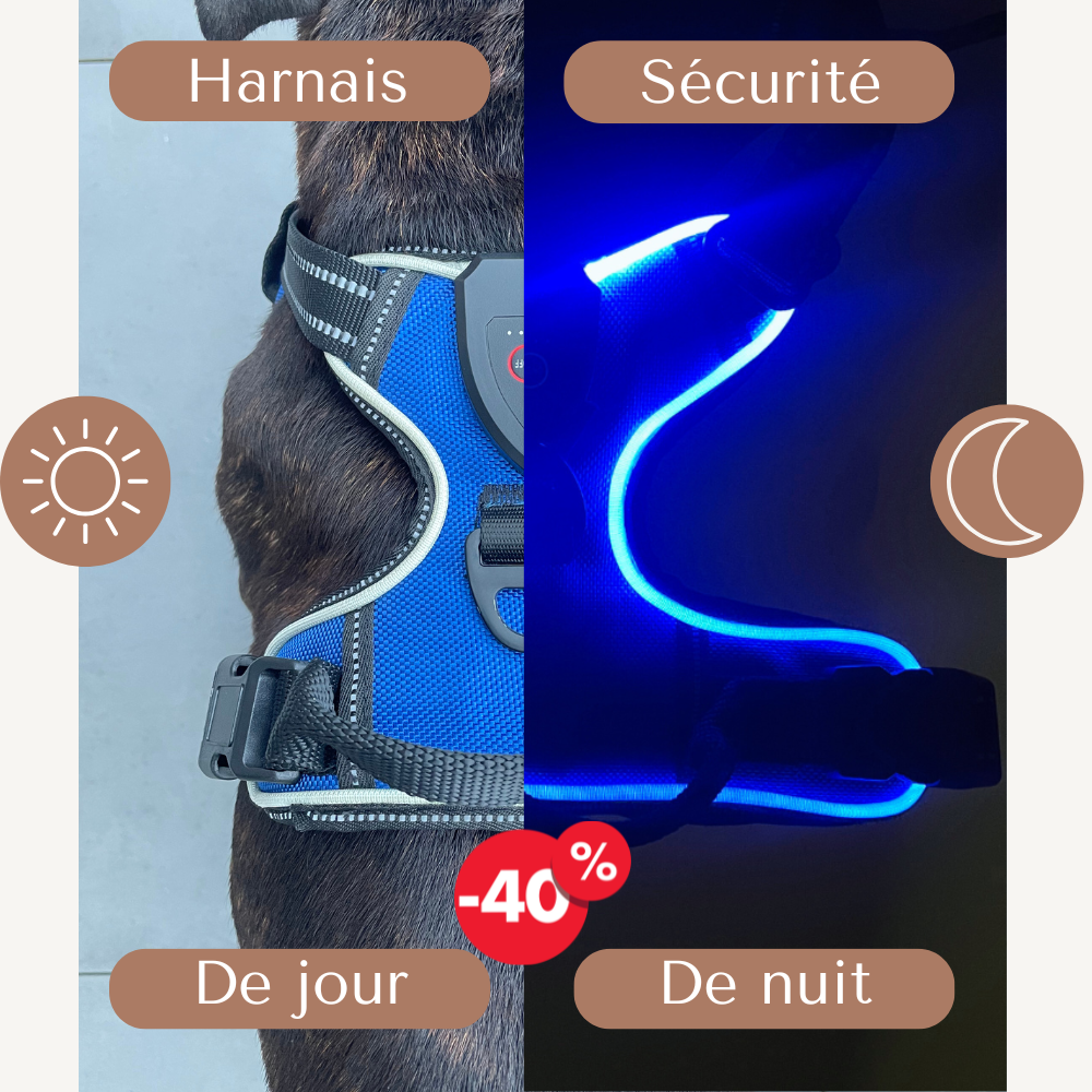 Harnais de sécurité LED visible à 300M