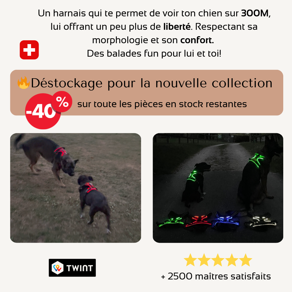 Harnais de sécurité LED visible à 300M