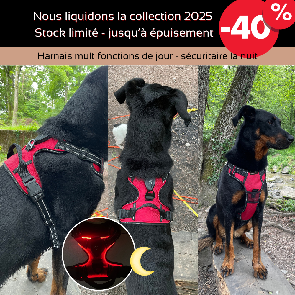 Harnais de sécurité LED visible à 300M