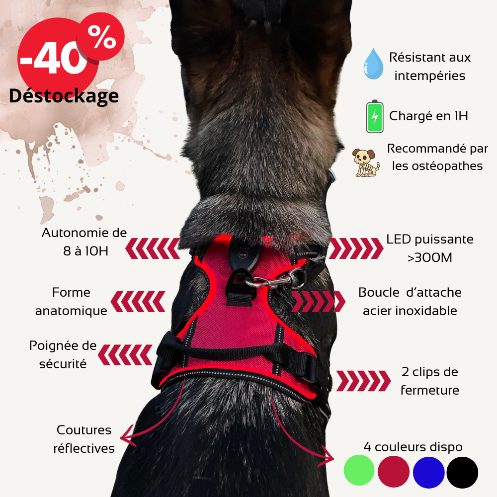 Harnais de sécurité LED visible à 300M