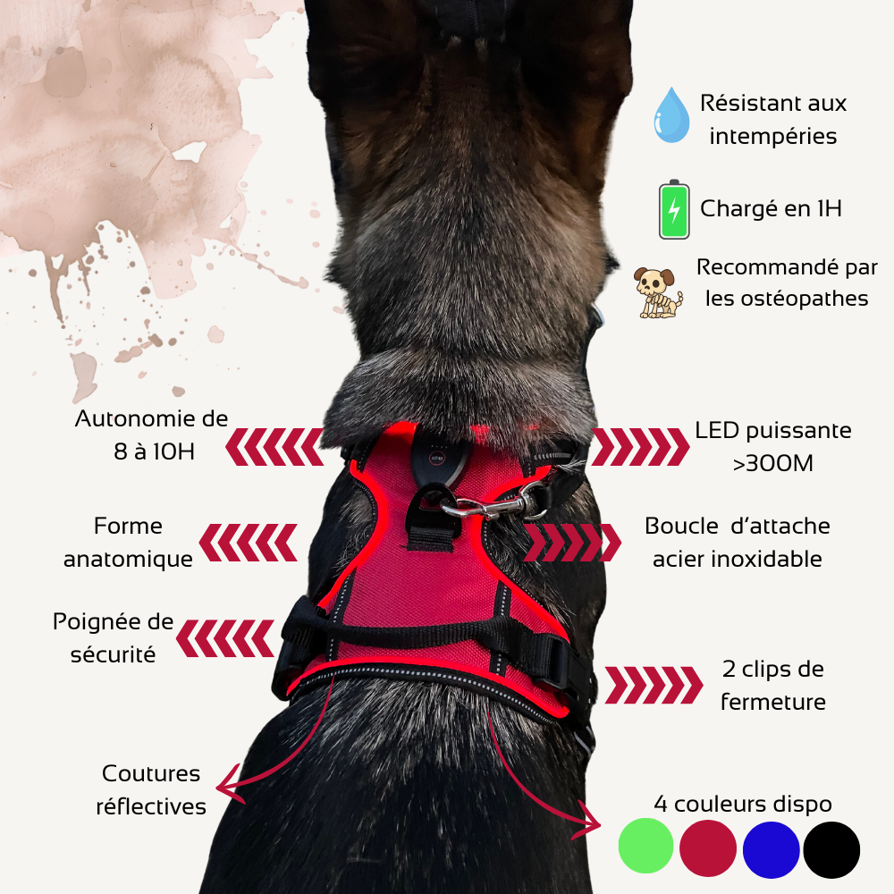 Harnais de sécurité LED visible à 300M