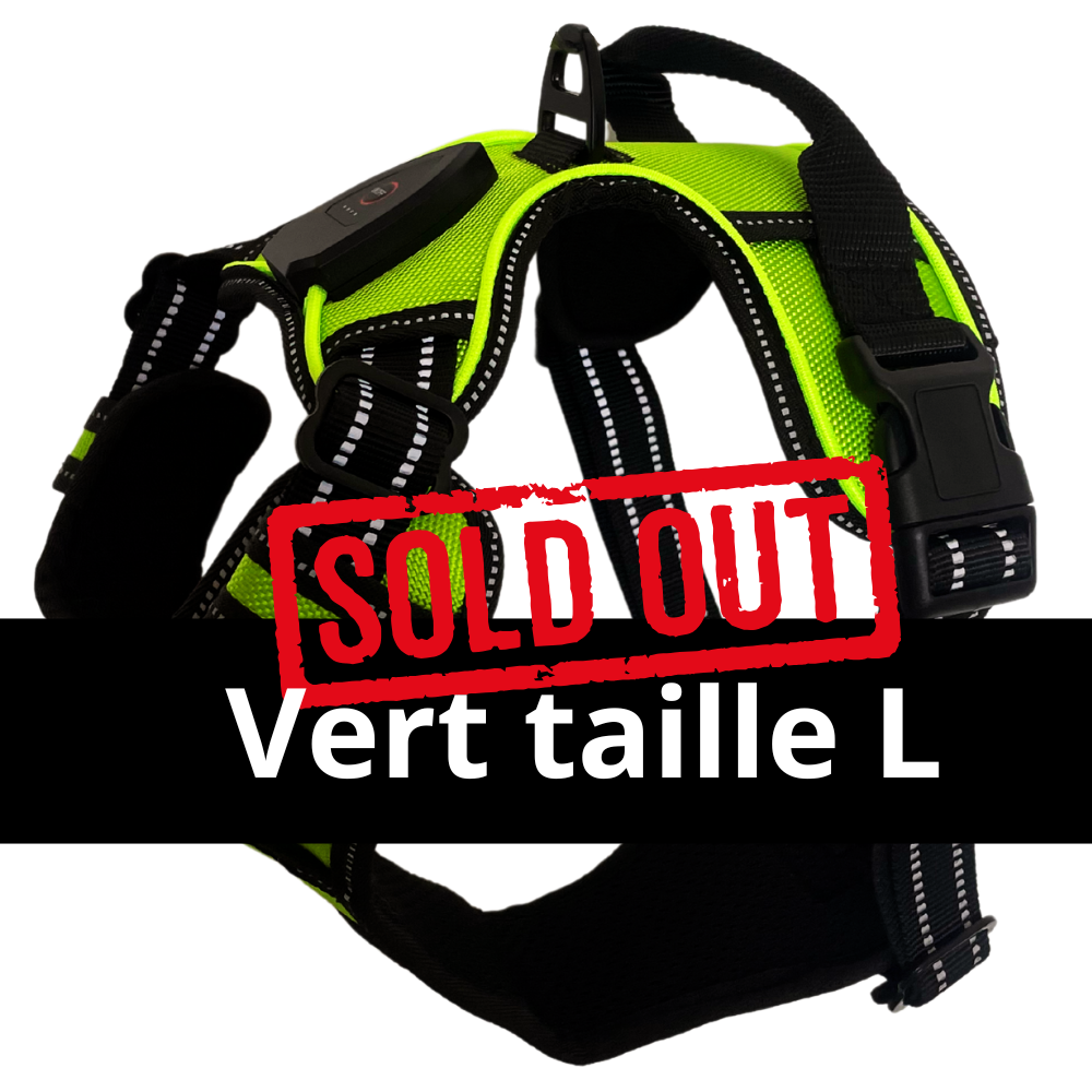 Harnais de sécurité LED visible à 300M