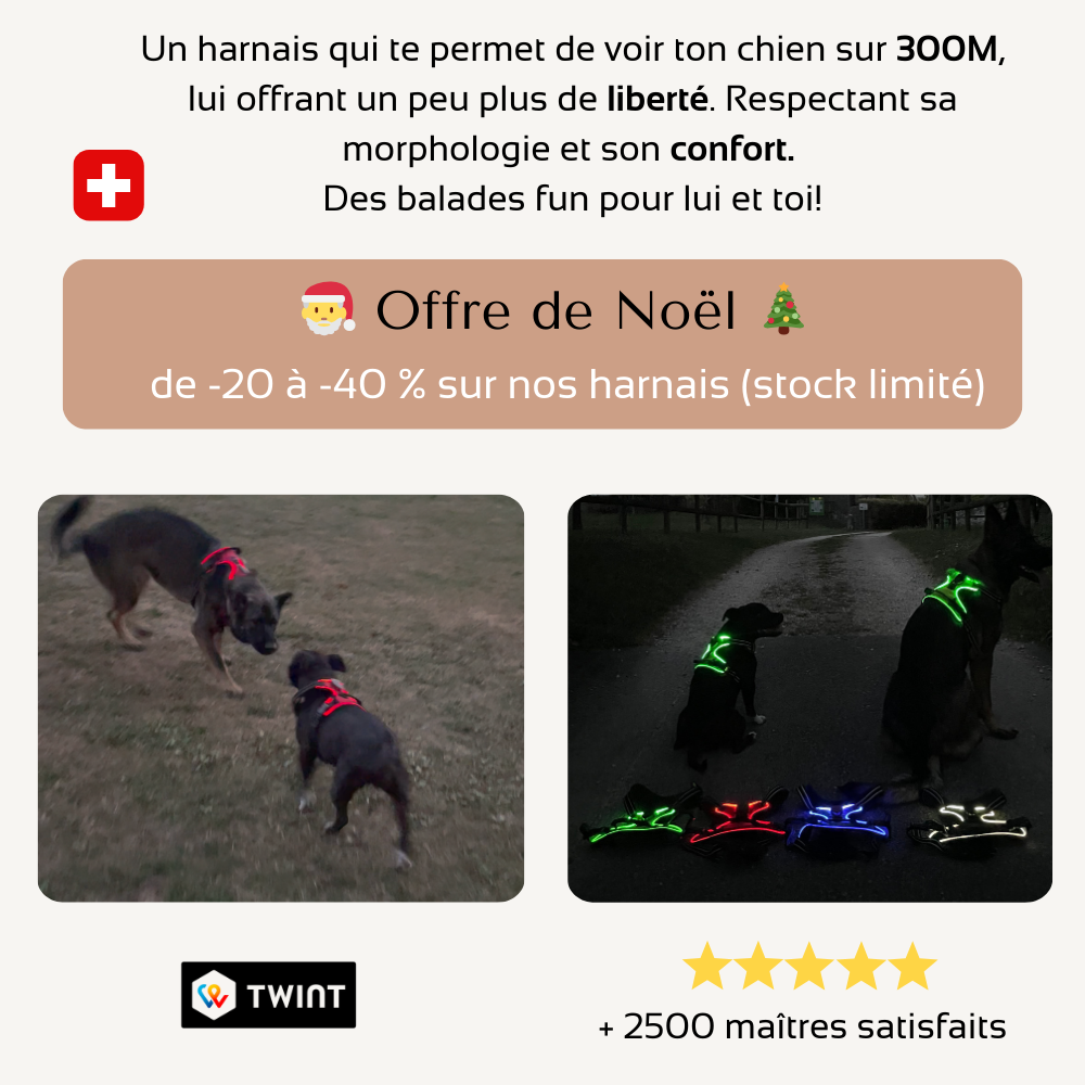 Harnais de sécurité LED visible à 300M